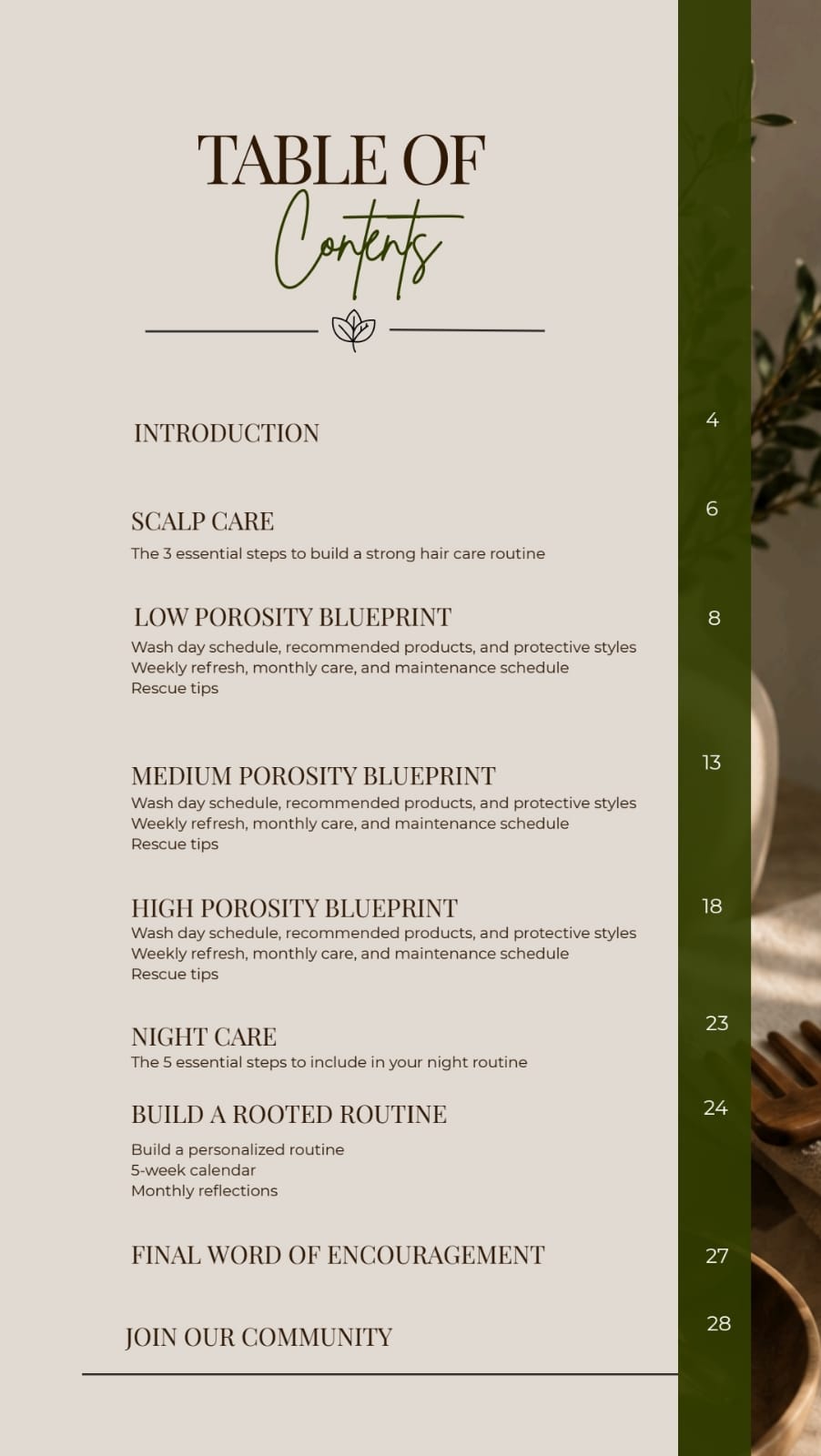 Rooted Hair Care Guide: Build Your Porosity-Based Routine
