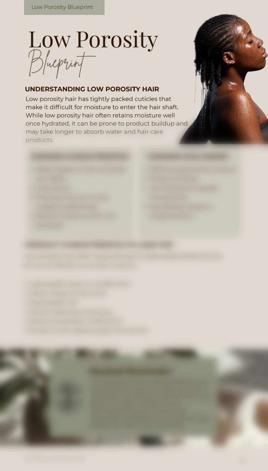 Rooted Hair Care Guide: Build Your Porosity-Based Routine
